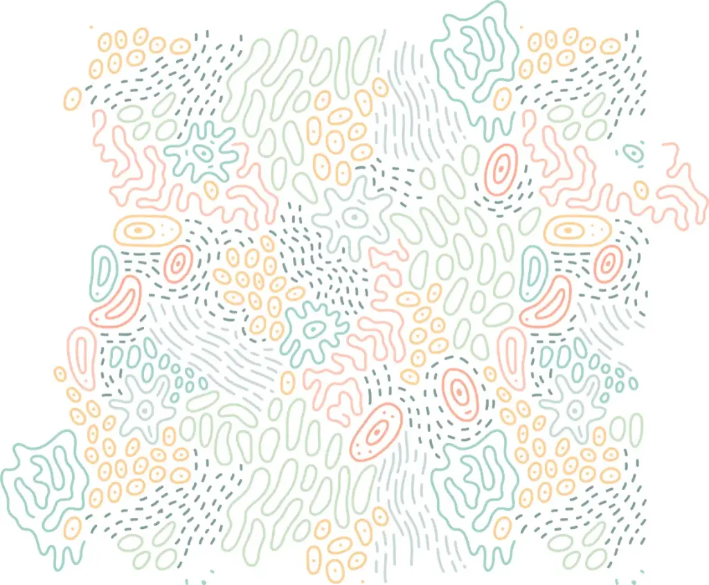 Book of Abstracts